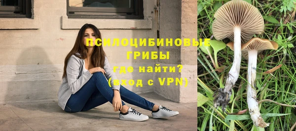 кокаин Богородицк
