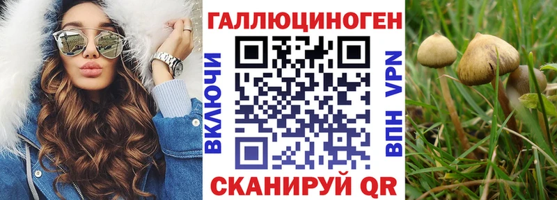 Галлюциногенные грибы прущие грибы Магадан