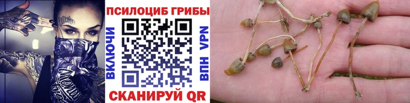 Галлюциногенные грибы прущие грибы  Магадан 